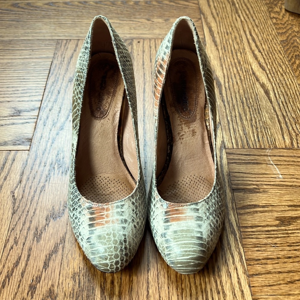 Corso Como Snake Skin Pumps. 3” heel. Good condition. Size 6
